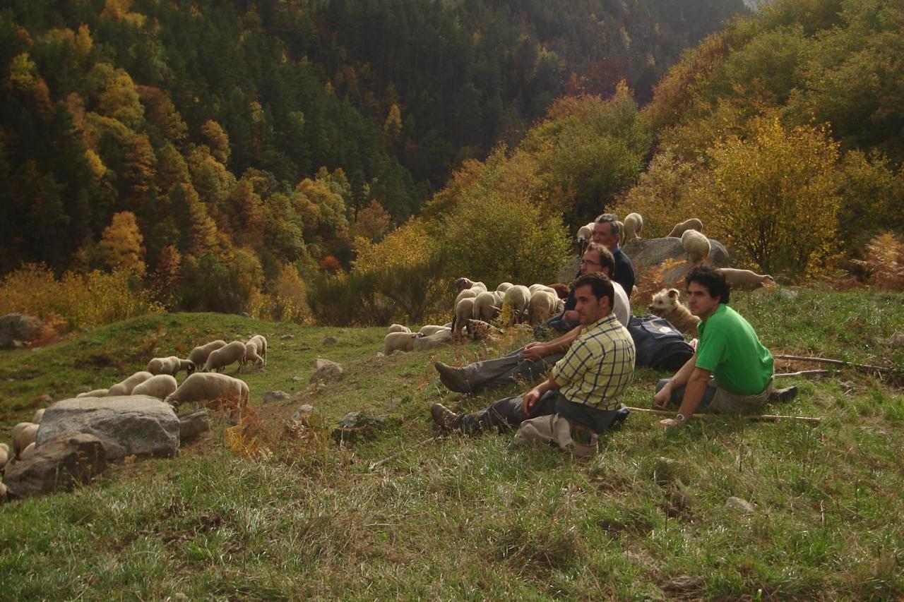 La Cabanya De Cal Forn De Serrat Queralbs Zewnętrze zdjęcie